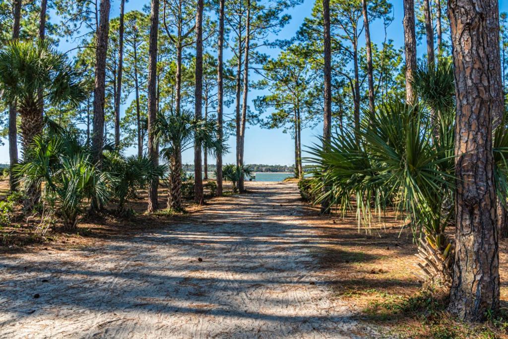 1686 Bluff Villas Renovated Sleeps 8 Walk To Salty Dog Sea Pines هيلتون رئيس جزيرة المظهر الخارجي الصورة